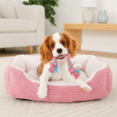 Petit chien dans Coussin Chien rose - Orthopédique Premium - Gamelle et Cie pour Chien