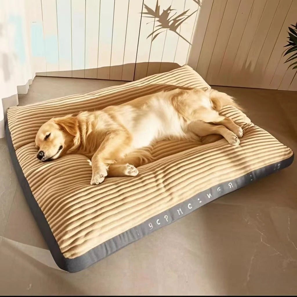 Coussin chien | Ultra - confortable - Gamelle et Cie pour Chien