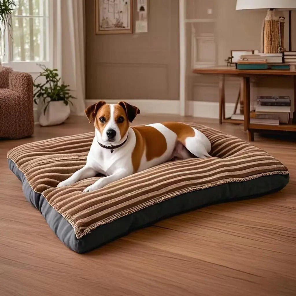 Coussin chien | Ultra - confortable - Gamelle et Cie pour Chien
