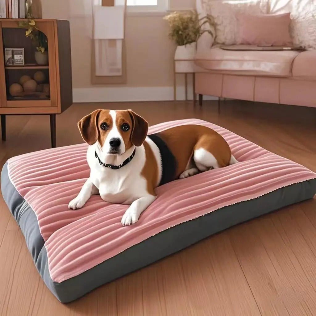 Coussin chien | Ultra - confortable - Gamelle et Cie pour Chien