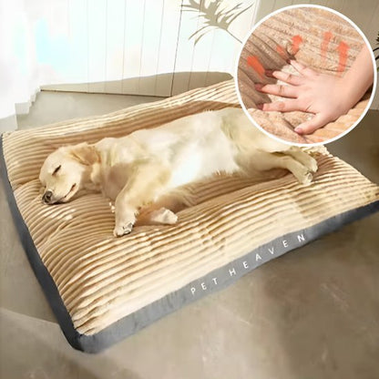 Chien dort sur Coussin chien kaki - Ultra - confortable - Gamelle et Cie pour Chien