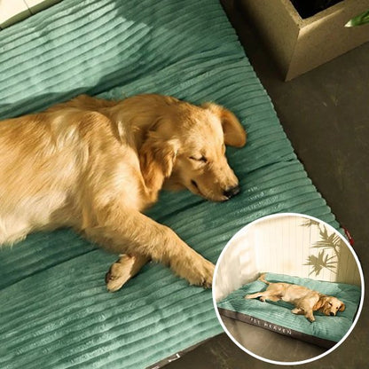 Chien dort sur Coussin chien vert - Ultra - confortable - Gamelle et Cie pour Chien