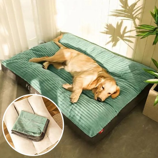 Chien se repose sur Coussin chien vert - Ultra - confortable - Gamelle et Cie pour Chien