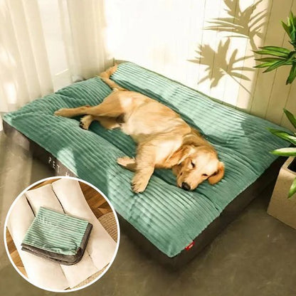 Chien se repose sur Coussin chien vert - Ultra - confortable - Gamelle et Cie pour Chien