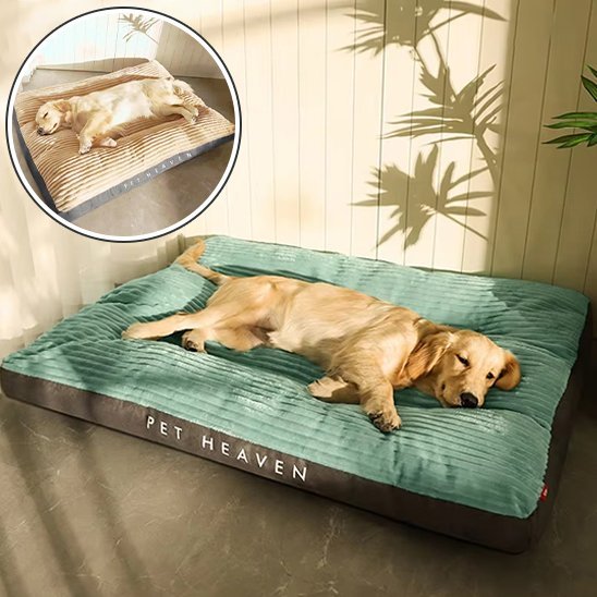 Chien allongé sur Coussin chien vert - Ultra - confortable - Gamelle et Cie pour Chien