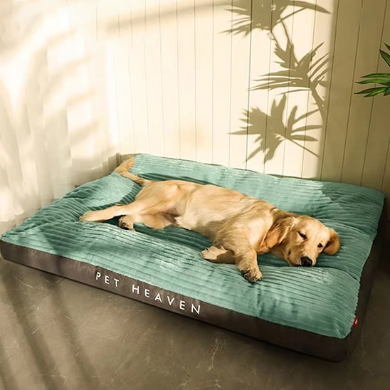 Chien allongé sur Coussin chien vert - Ultra - confortable - Gamelle et Cie pour Chien