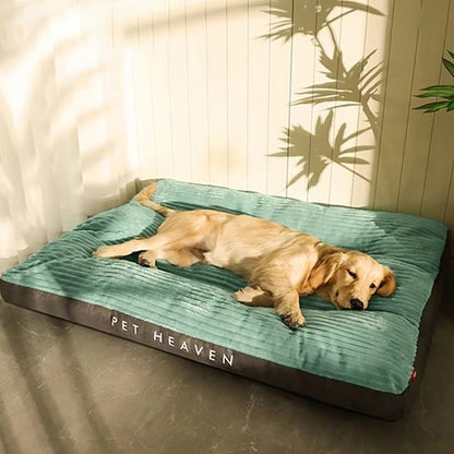 Chien allongé sur Coussin chien vert - Ultra - confortable - Gamelle et Cie pour Chien