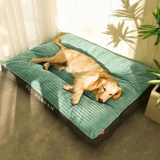 Chien allongé sur Coussin chien vert - Ultra - confortable - Gamelle et Cie pour Chien