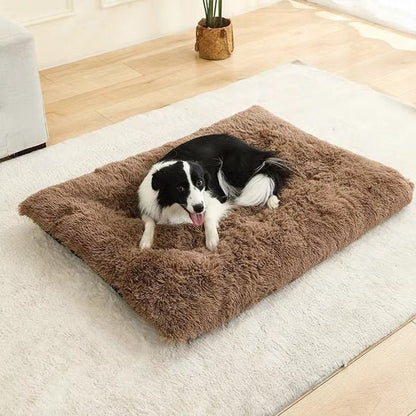 Chien allongé sur Coussin pour chien orthopédique brun - DogComfort - Gamelle et Cie pour Chien