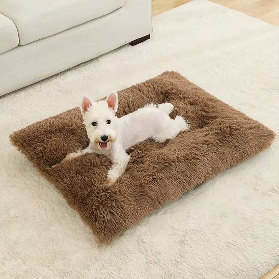Chien allongé sur Coussin pour chien orthopédique brun - DogComfort - Gamelle et Cie pour Chien