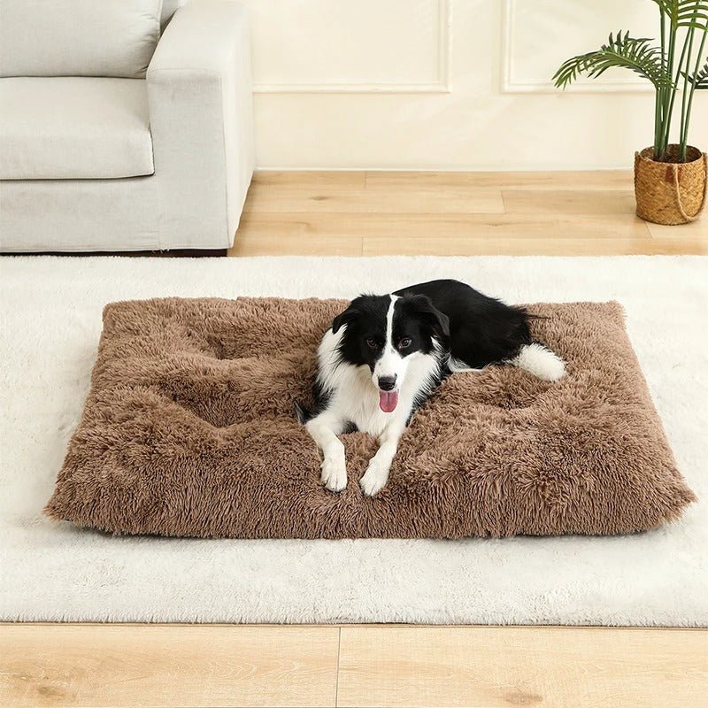 Chien allongé sur Coussin pour chien orthopédique brun - DogComfort - Gamelle et Cie pour Chien