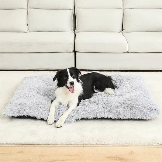 Chien allongé sur Coussin pour chien orthopédique gris - DogComfort - Gamelle et Cie pour Chien