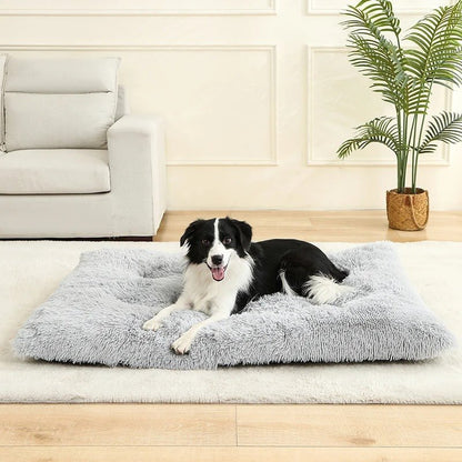 Chien allongé sur Coussin pour chien orthopédique gris - DogComfort - Gamelle et Cie pour Chien