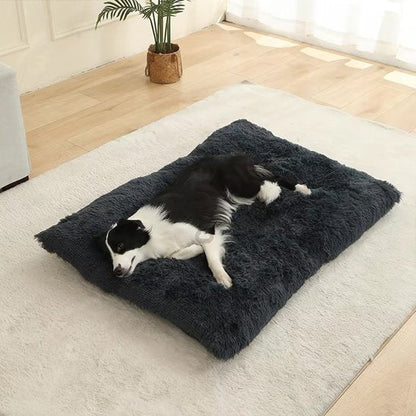 Chien dors sur Coussin pour chien orthopédique gris foncé - DogComfort - Gamelle et Cie pour Chien