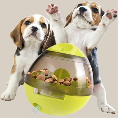 Distributeur de Croquettes pour Chien - FeedMaze™ - Vert - Gamelle et Cie pour Chien