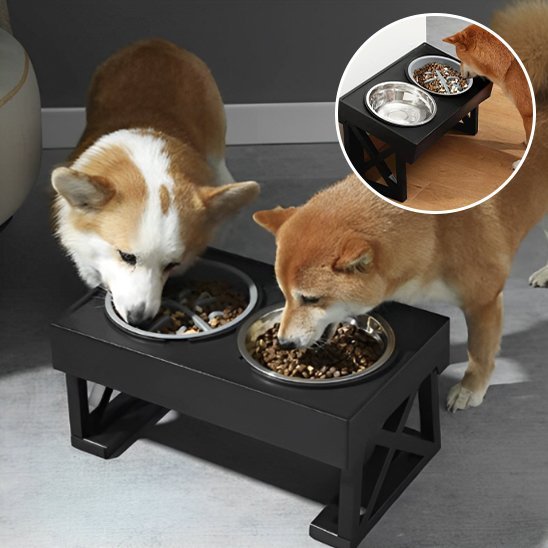 Deux chiens en train de manger dans double Gamelle chien surélevée Premium.