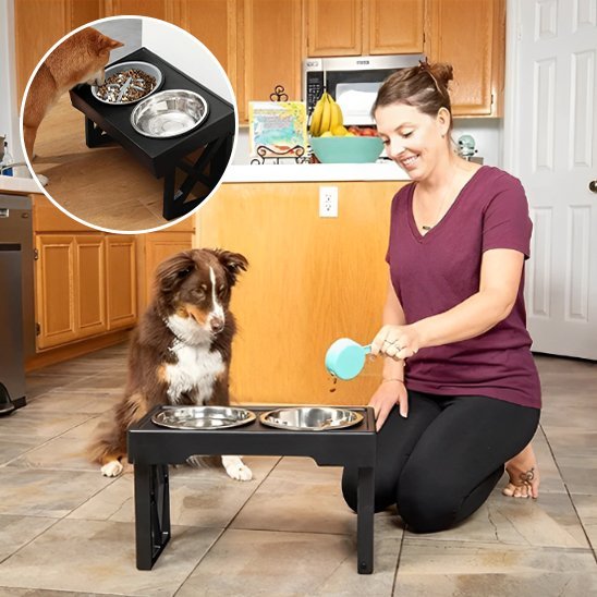 Propriétaire ne train de remplir bol de la Gamelle chien surélevée Premium.