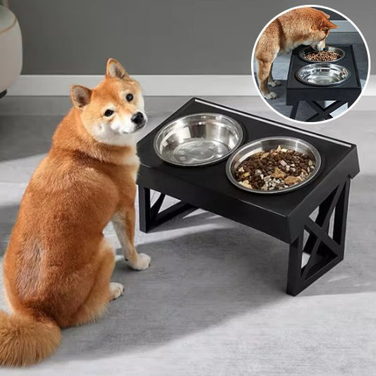 Chien devant sa double Gamelle chien en acier inoxydable Surélevée Premium.