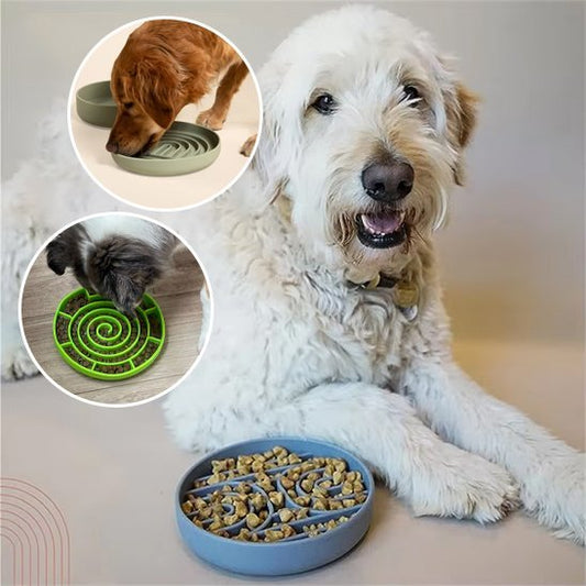 Gamelle anti glouton chien | Digestive Plus - Gamelle et Cie pour Chien
