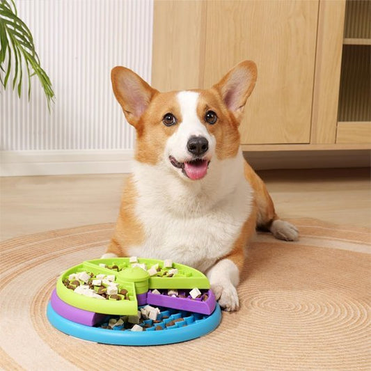 Gamelle anti glouton chien | Digestivet - Gamelle et Cie pour Chien