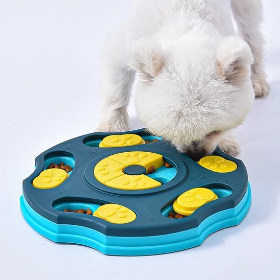 Chien mange croquettes dans Gamelle anti glouton chien bleue - PetSmart - Gamelle et Cie pour Chien