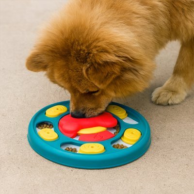 Gamelle anti glouton Chien | PetSlow - Gamelle et Cie pour Chien