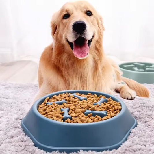 Gamelle anti glouton chien | SlowBowl - Gamelle et Cie pour Chien