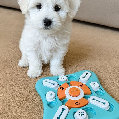 Gamelle anti glouton chien | StarSlowEat - Gamelle et Cie pour Chien