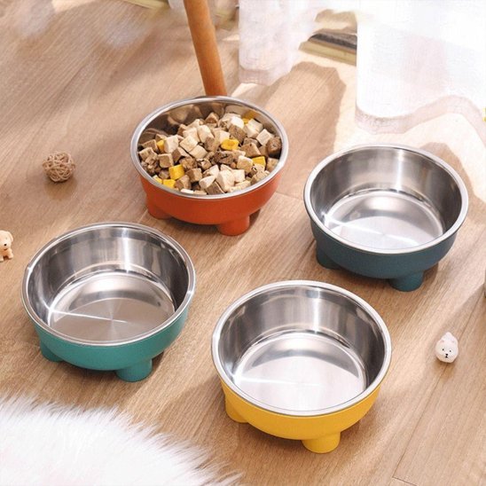 Quatre Gamelle chien différentes couleurs en acier Inox
