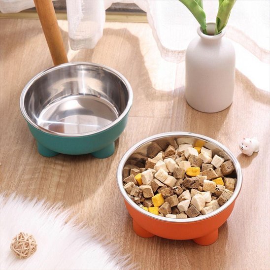 Deux Gamelle chien en acier Inox en vert et orange