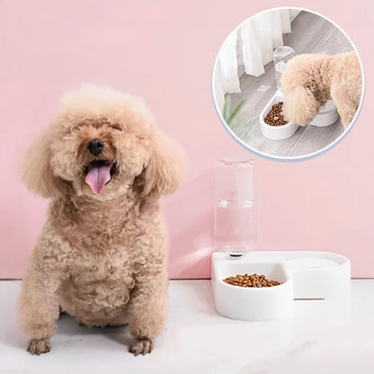 Chien à côté de sa Gamelle chien Double fonction automatique.