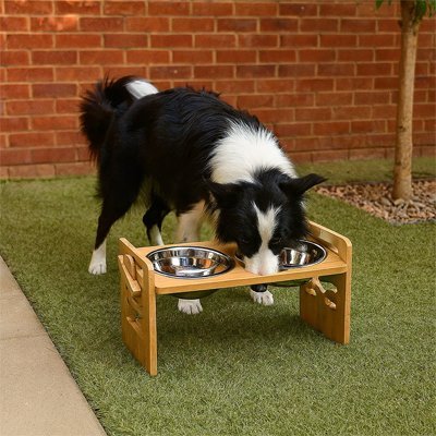 Chien sur gazon en train de manger dans Gamelle chien surélevée Bambou double bols inox.