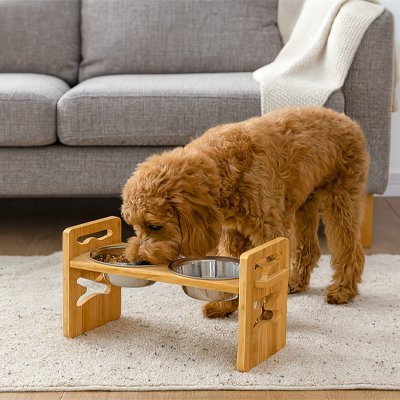 Chien dans salon en train de manger dans Gamelle chien surélevée Bambou double bols inox.