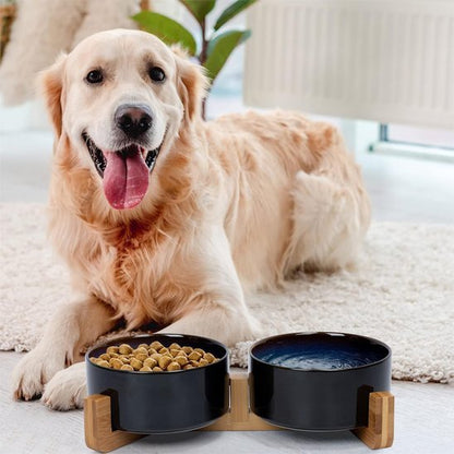 Gamelle chien surélevée | Design Digest - Gamelle et Cie pour Chien
