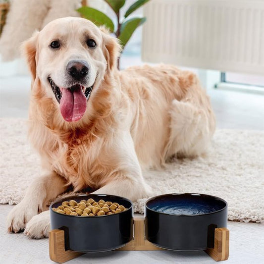 Gamelle chien surélevée | Design Digest - Gamelle et Cie pour Chien