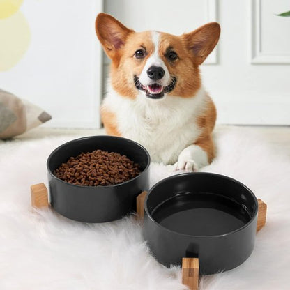 Chien devant Gamelle chien surélevée avec deux bols noirs remplient de croquettes et d'eau.