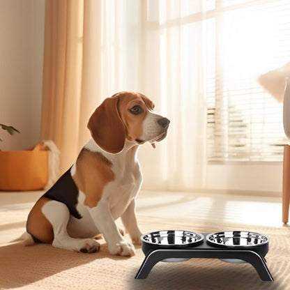 Gamelle chien | Surélevée Double Inox - Gamelle et Cie pour Chien