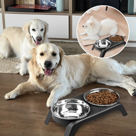 Deux chiens à côté de la Gamelle chien surélevée Double Inox.