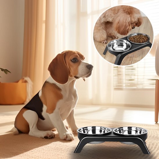 Chien assis à côté de sa gamelle chien Surélevée Double Inox noir.