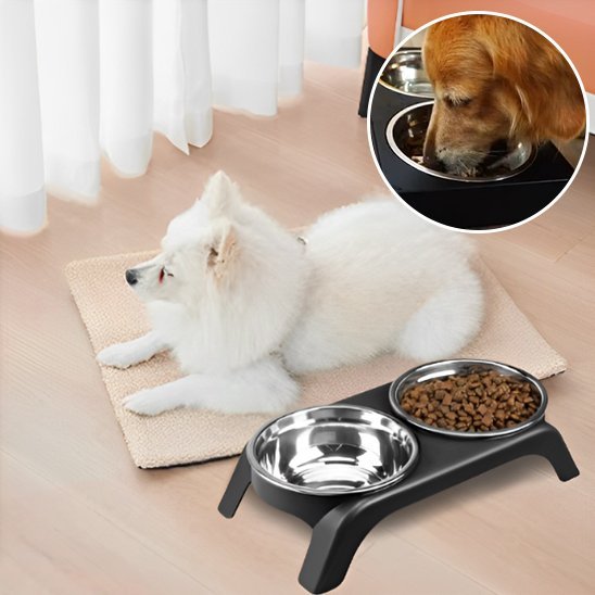 Chien couché sur tapis à côté de sa gamelle chien Surélevée Double Inox noir.