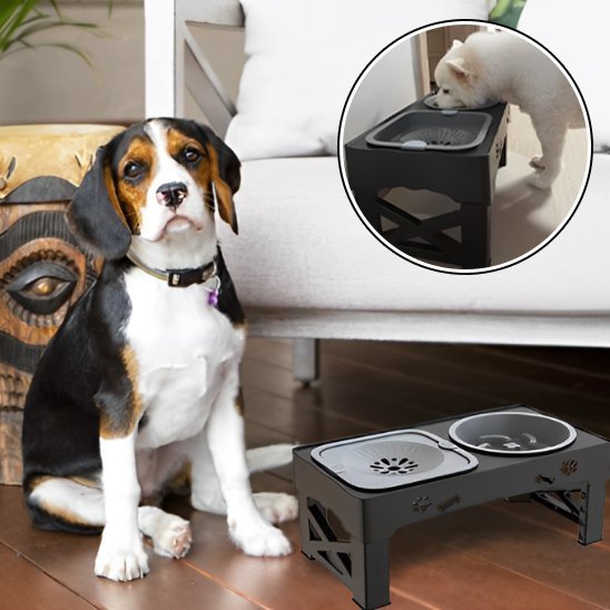 Chien assis devant une gamelle chien surélevée ergonomique noir sur plancher