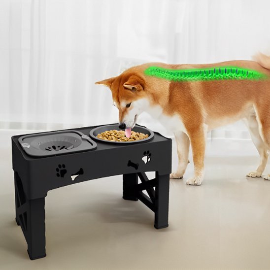 Chien mangeant confortablement dans une gamelle chien surélevée noir