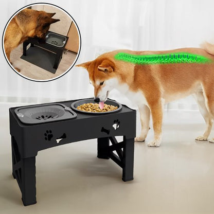 Chien mangeant confortablement dans Gamelle chien surélevée ergonomique