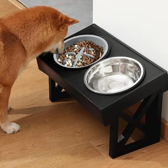 Chien en train de manger dans un bol anti-glouton monté sur double Gamelle chien Surélevée.