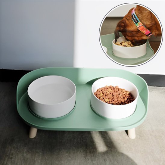 Gamelle chien surélevée VétéConfort double couleur verte et bols en blancs.