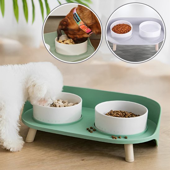 Chien en train de s'alimenter dans Gamelle chien surélevée VétéConfort double couleur verte.