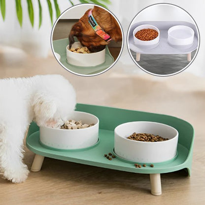 Chien en train de s'alimenter dans Gamelle chien surélevée VétéConfort double couleur verte.