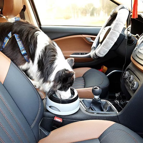 Chien en train de manger dans gamelle chien Voyage-Confort dans une auto
