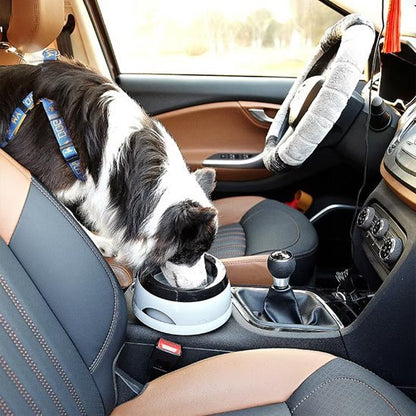 Chien en train de manger dans gamelle chien Voyage-Confort dans une auto
