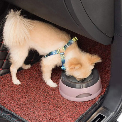 Chien en train de manger dans une gamelle chien Voyage rose dans auto